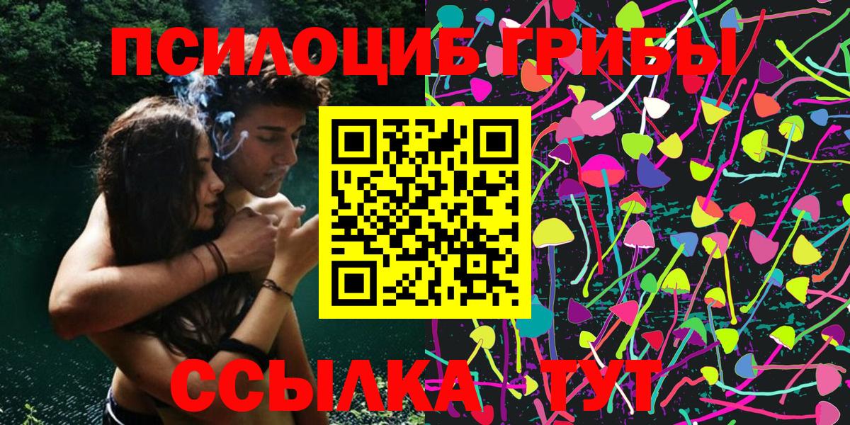 Псилоцибиновые грибы GOLDEN TEACHER Среднеуральск